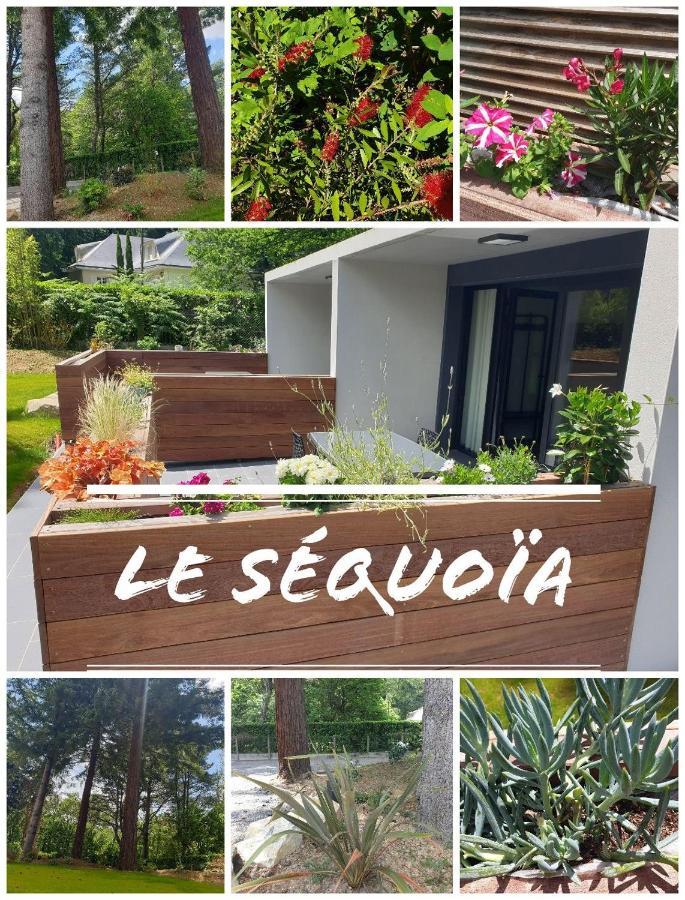 Le Sequoia Leilighet Saint-Sébastien-sur-Loire Eksteriør bilde